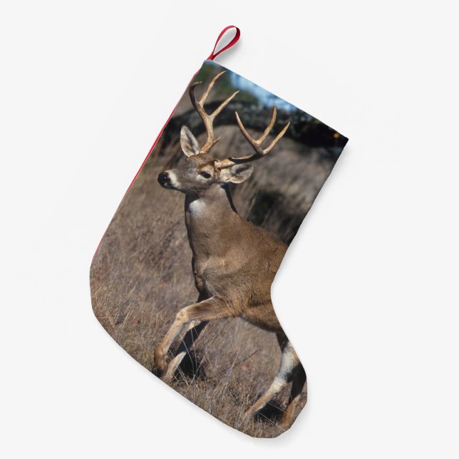 White Tail Deer Small Christmas Stocking (Front (Hanging))