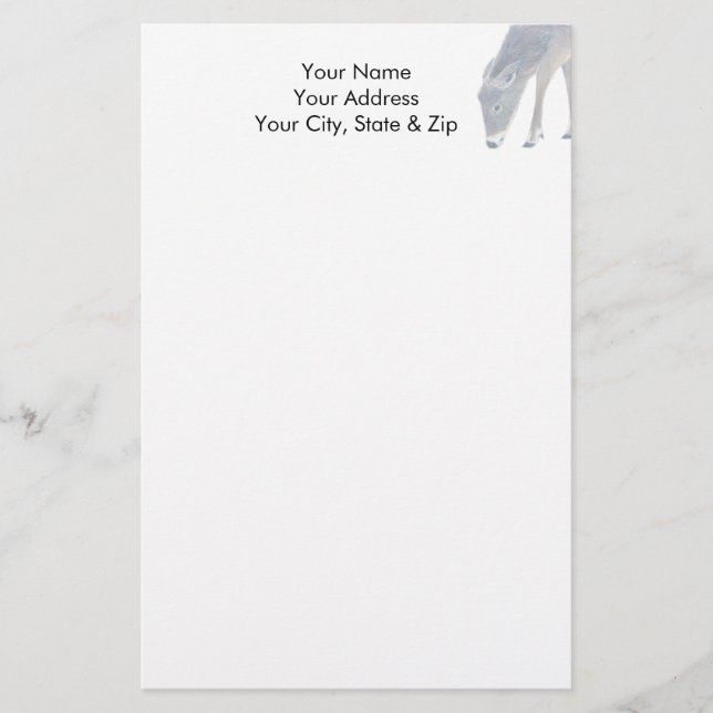 White Tail Deer Stationery (Front)