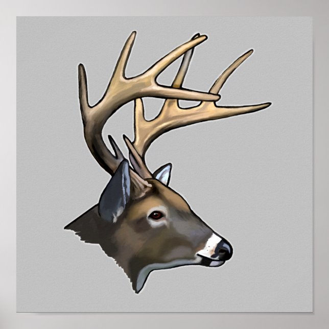 White-Tailed Dear Buck Drawing Poster (Front)