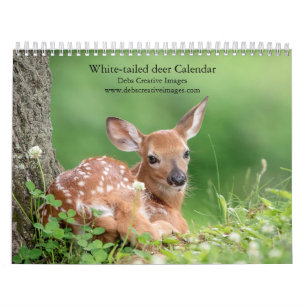 White-tailed deer 2025 calendar