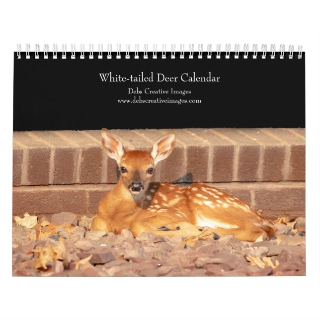 White-tailed deer 2026 calendar (Cover)