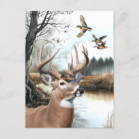 White Tailed Deer and Mallards nature scene