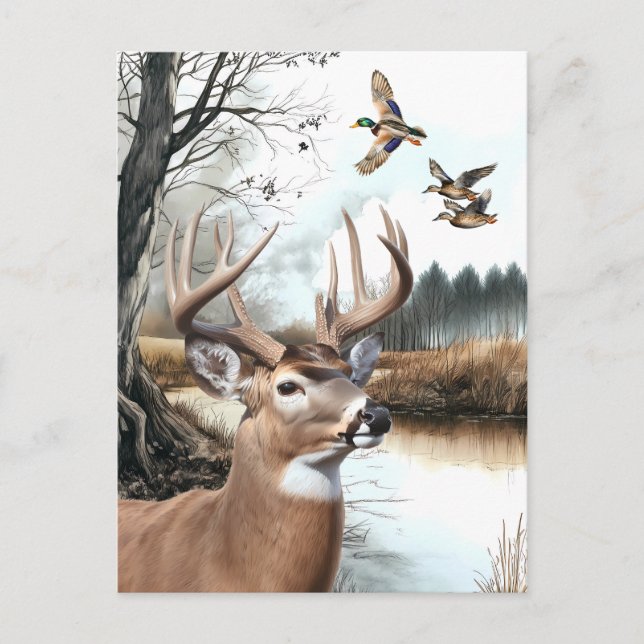 White Tailed Deer and Mallards nature scene Postcard (Front)