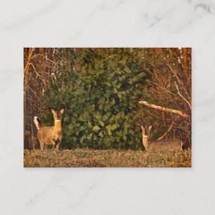 White-tailed Deer at Sunrise ATC Business Card