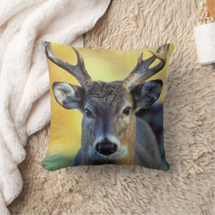 White-Tailed Deer Autumn Cushion