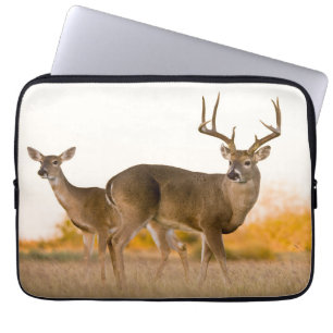 White-tailed Deer   Autumn in Texas Laptop Sleeve