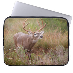 White-tailed Deer Autumn in Texas Laptop Sleeve