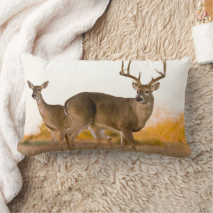 White-tailed Deer Autumn in Texas Lumbar Cushion