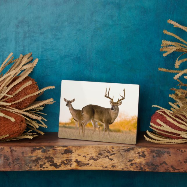 White-tailed Deer | Autumn in Texas Plaque (Side)
