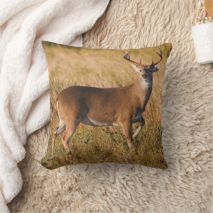 White-tailed Deer   Autumn in TX Cushion