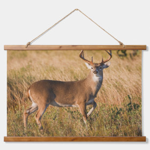 White-tailed Deer Autumn in TX Hanging Tapestry