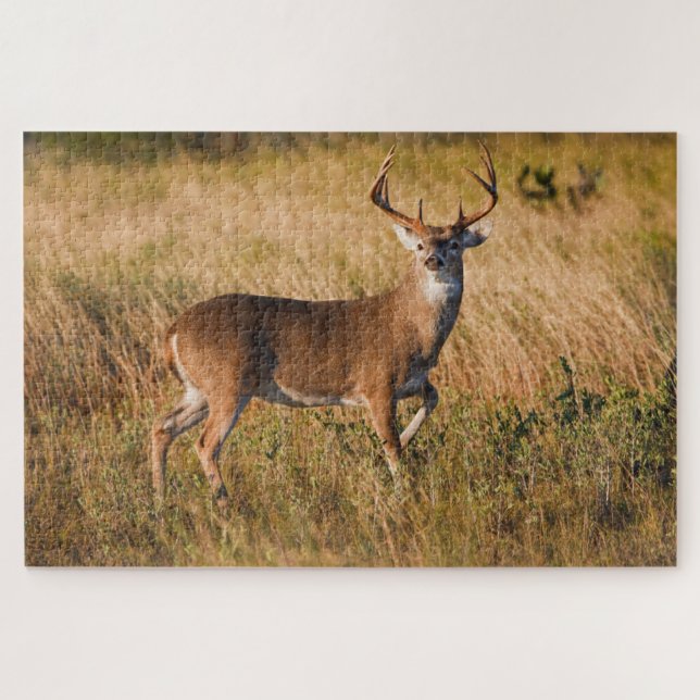 White-tailed Deer | Autumn in TX Jigsaw Puzzle (Horizontal)