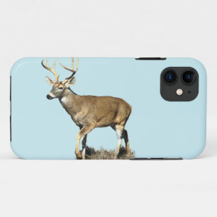 White Tailed Deer Buck iPhone 11 Case