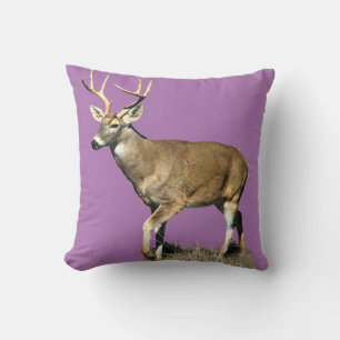 White Tailed Deer Buck Cushion