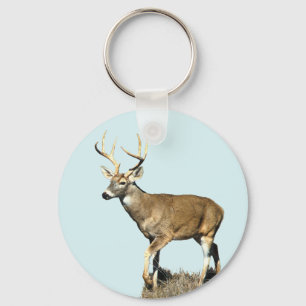 White Tailed Deer Buck Key Ring