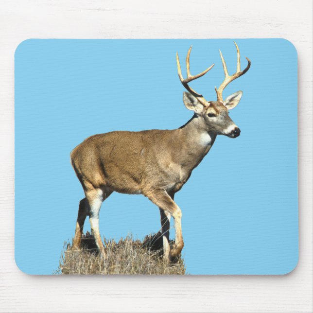 White Tailed Deer Buck Mouse Pad (Front)
