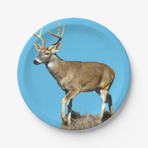 White Tailed Deer Buck Paper Plate