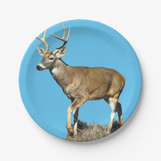 White Tailed Deer Buck Paper Plate (Front)