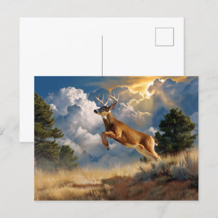 White Tailed Deer Buck Postcard
