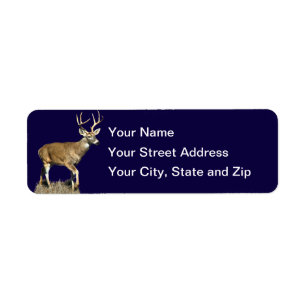 White Tailed Deer Buck Return Address Label