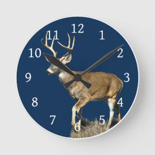 White Tailed Deer Buck Round Clock