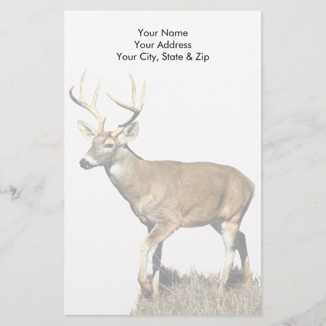 White Tailed Deer Buck Stationery (Front)