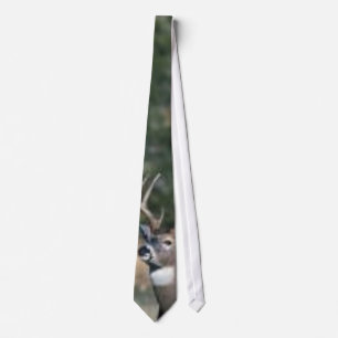 White-tailed deer buck tie
