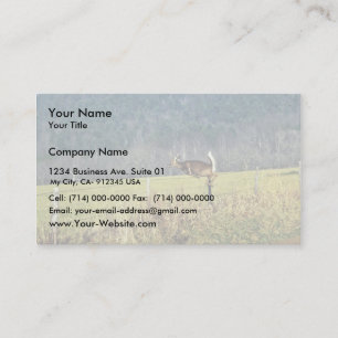 White-tailed Deer Business Card