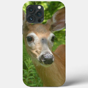 White Tailed Deer  iPhone 13 Pro Max Case
