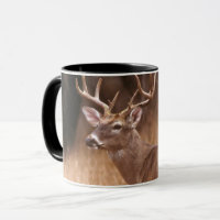 White Tailed Deer |  Choke Canyon State Park, TX