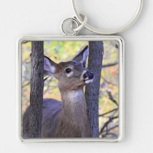 White Tailed Deer close up in the woods Key Ring