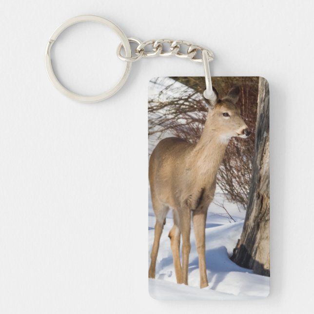 White-tailed Deer (Close Up) Key Ring (Front)