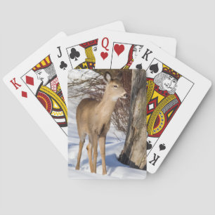 White-tailed Deer (Close Up) Playing Cards