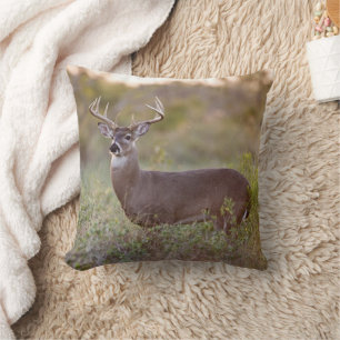 White-tailed Deer Fall in Texas Cushion