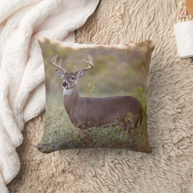White-tailed Deer | Fall in Texas Cushion (Blanket)
