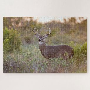 White-tailed Deer   Fall in Texas Jigsaw Puzzle