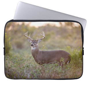 White-tailed Deer   Fall in Texas Laptop Sleeve