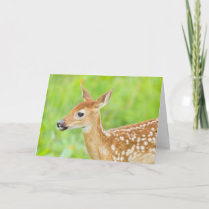 White-Tailed Deer Fawn Minnesota Card