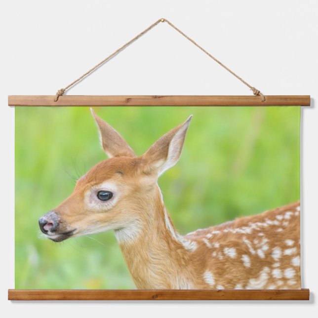 White-Tailed Deer Fawn | Minnesota Hanging Tapestry (Front)