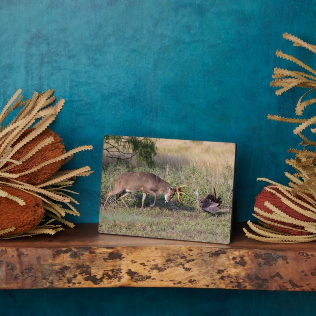 White-tailed Deer Fighting Wild Turkey Plaque (Side)