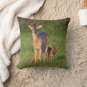 White-tailed Deer Grassy Habitat Cushion