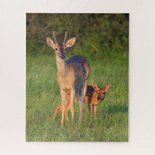 White-tailed Deer Grassy Habitat Jigsaw Puzzle