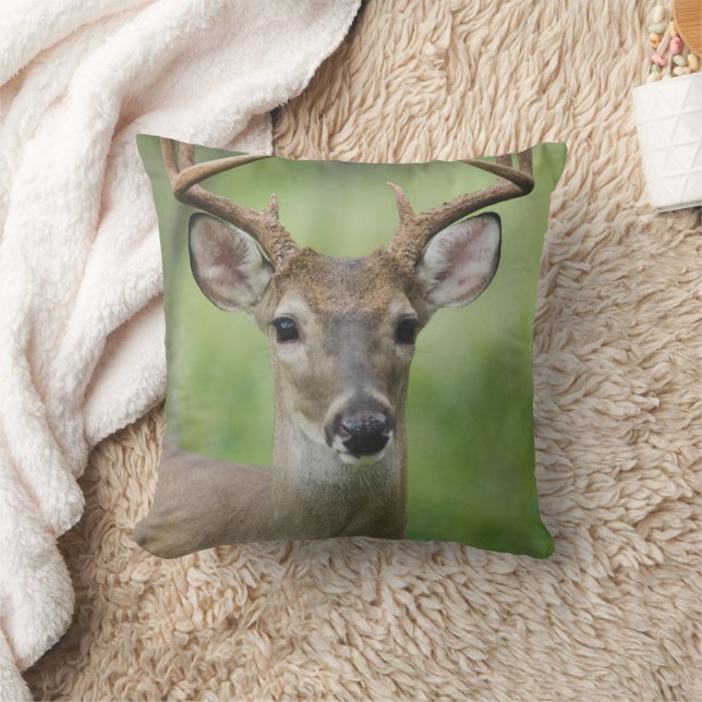 White-tailed Deer | Hill Country, Texas Cushion (Blanket)