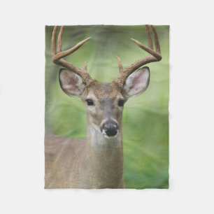 White-tailed Deer   Hill Country, Texas Fleece Blanket