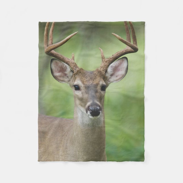 White-tailed Deer | Hill Country, Texas Fleece Blanket (Front)