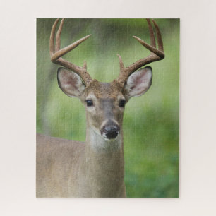 White-tailed Deer   Hill Country, Texas Jigsaw Puzzle