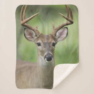 White-tailed Deer Hill Country, Texas Sherpa Blanket