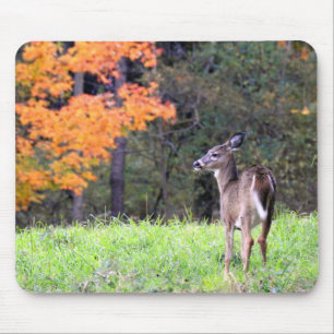 White Tailed Deer in an Autumn Field Mouse Pad