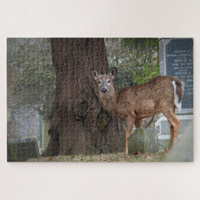 White tailed Deer in Cemetery Jigsaw Puzzle (Horizontal)