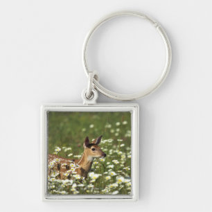 White-tailed Deer in Field of Flowers Key Ring